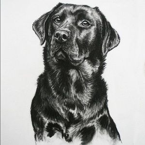 Meet your Posher, Aidan